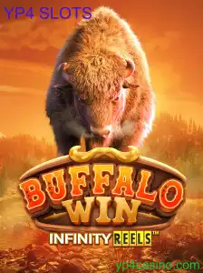 BuffaloWin